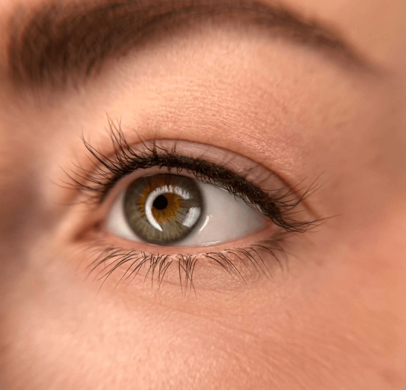 Eyeliner / Lash Line